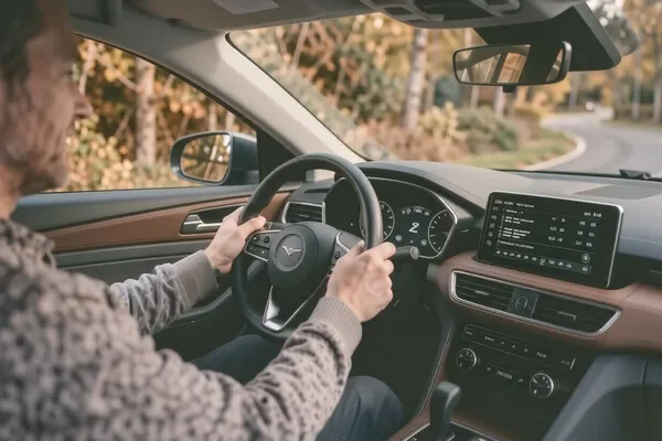 Renault Logan 2014 — интерьер, вид от водителя